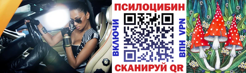 продажа наркотиков Сергач Псилоцибиновые грибы мухоморы